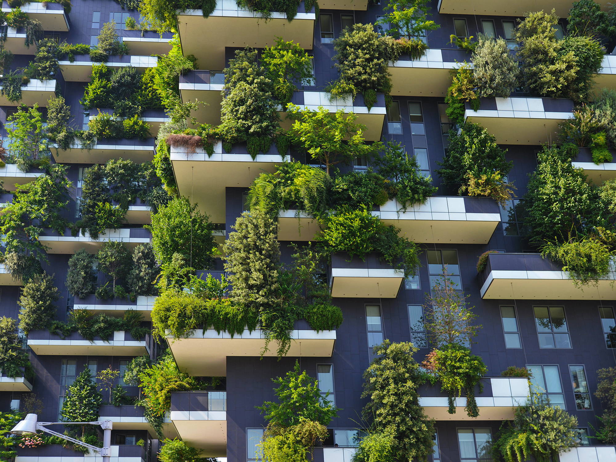 Greener Cities Issue #001 | Welcome to the Jungle