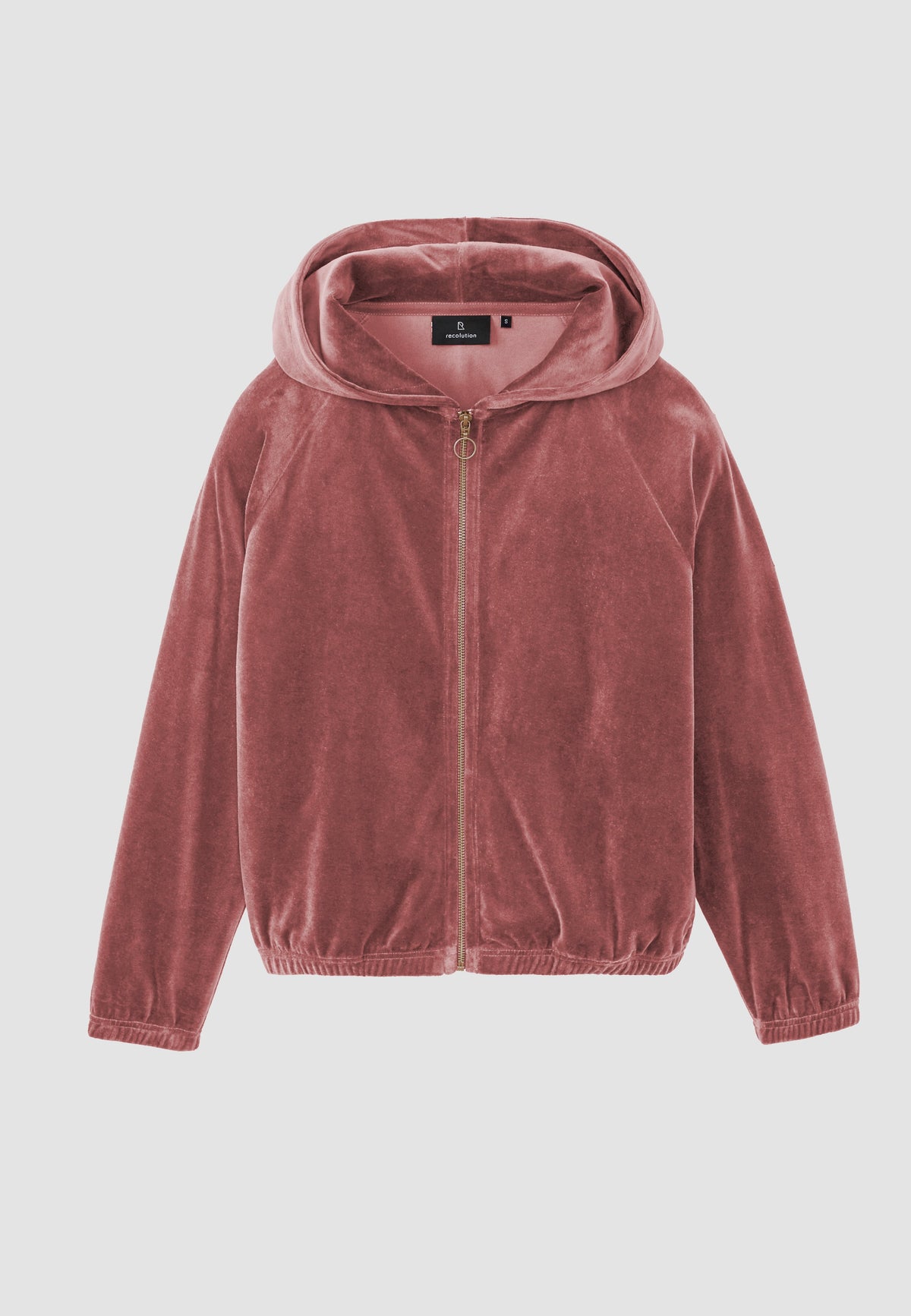 HELICONIA
