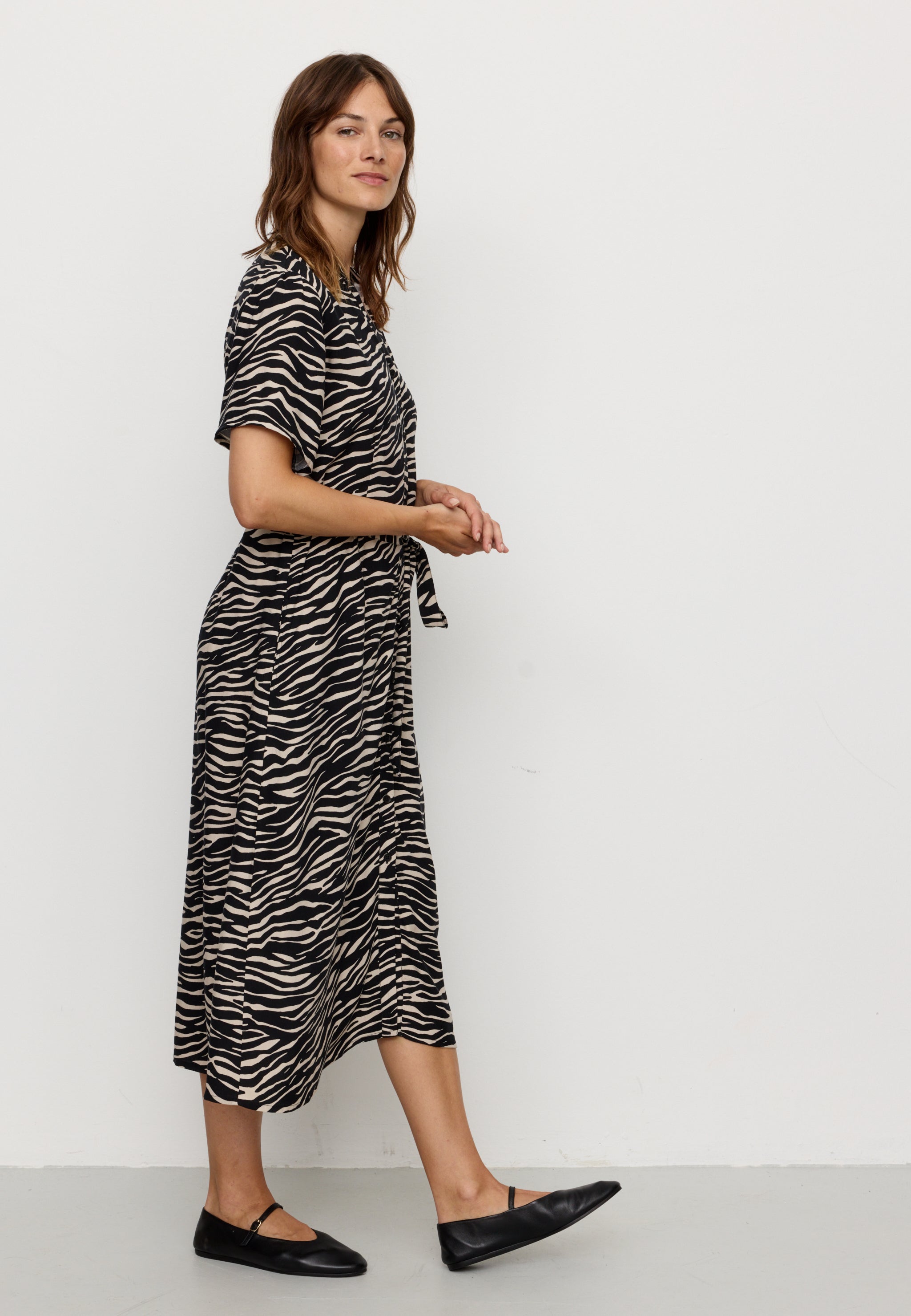 SILENE ZEBRA