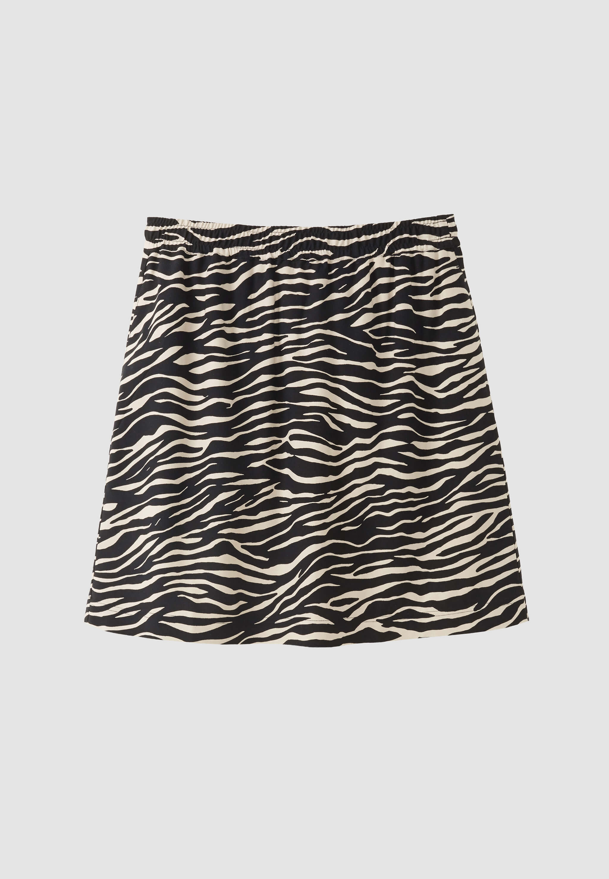 ZEDOARY ZEBRA