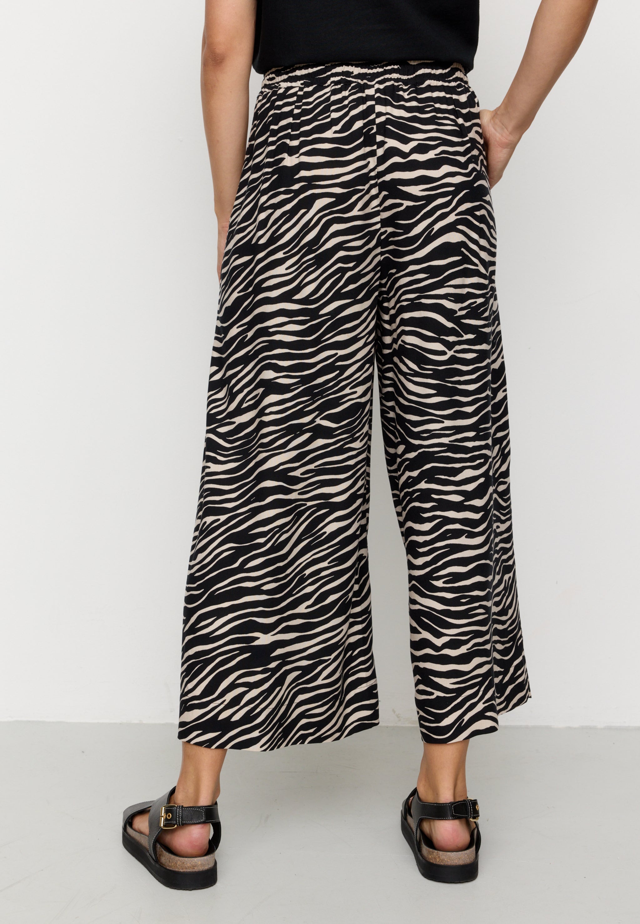 SEQUOIA ZEBRA