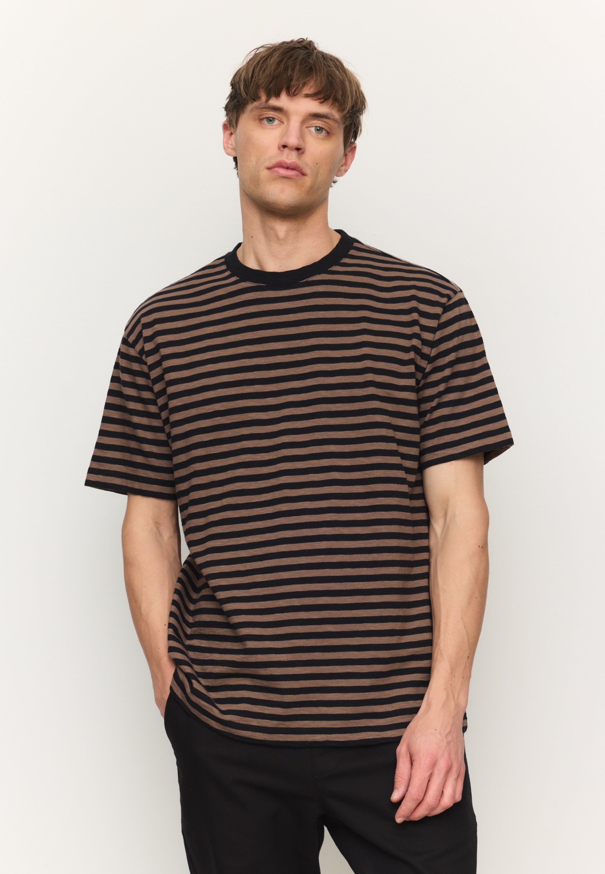 DELONIX STRIPES