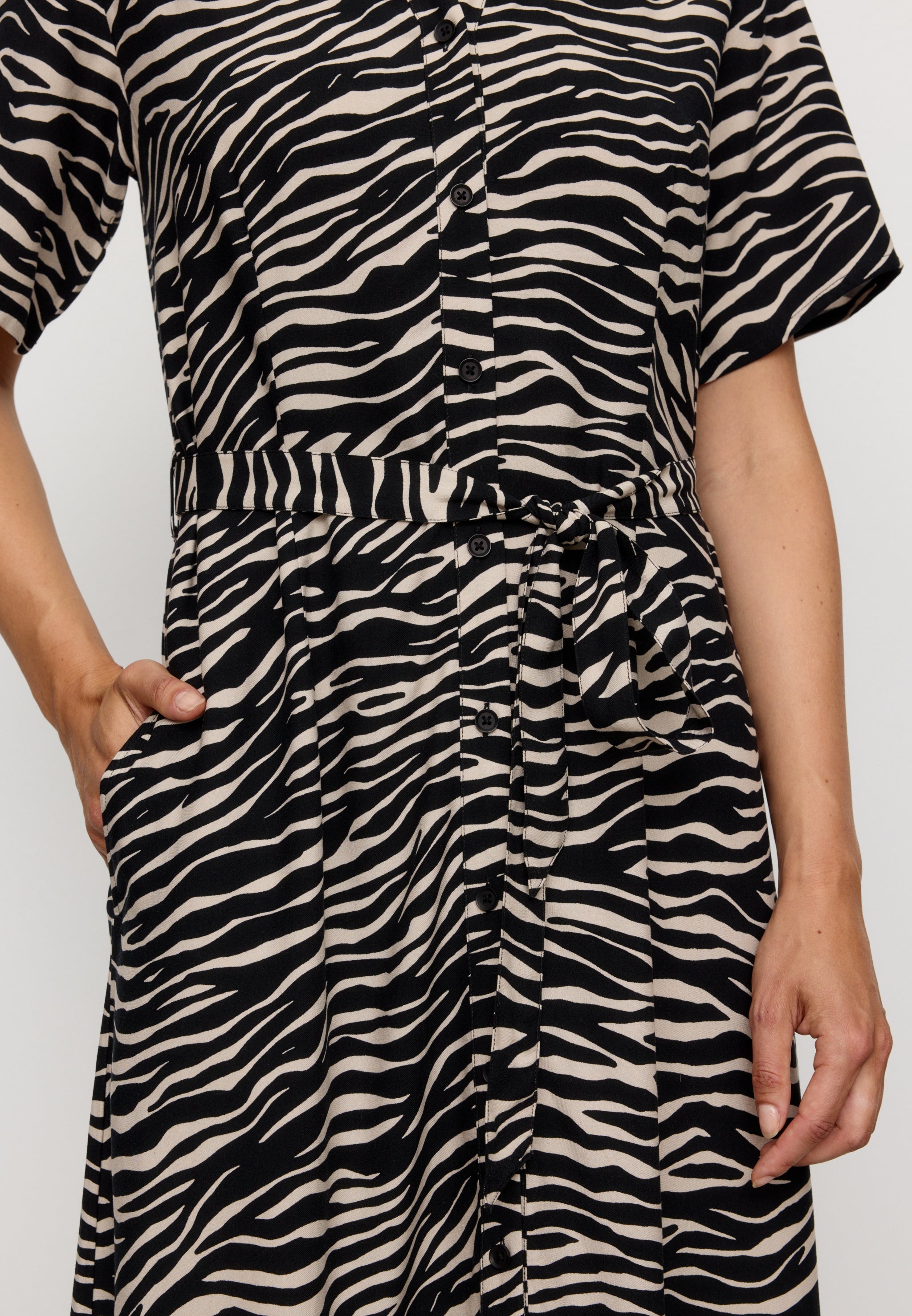 SILENE ZEBRA