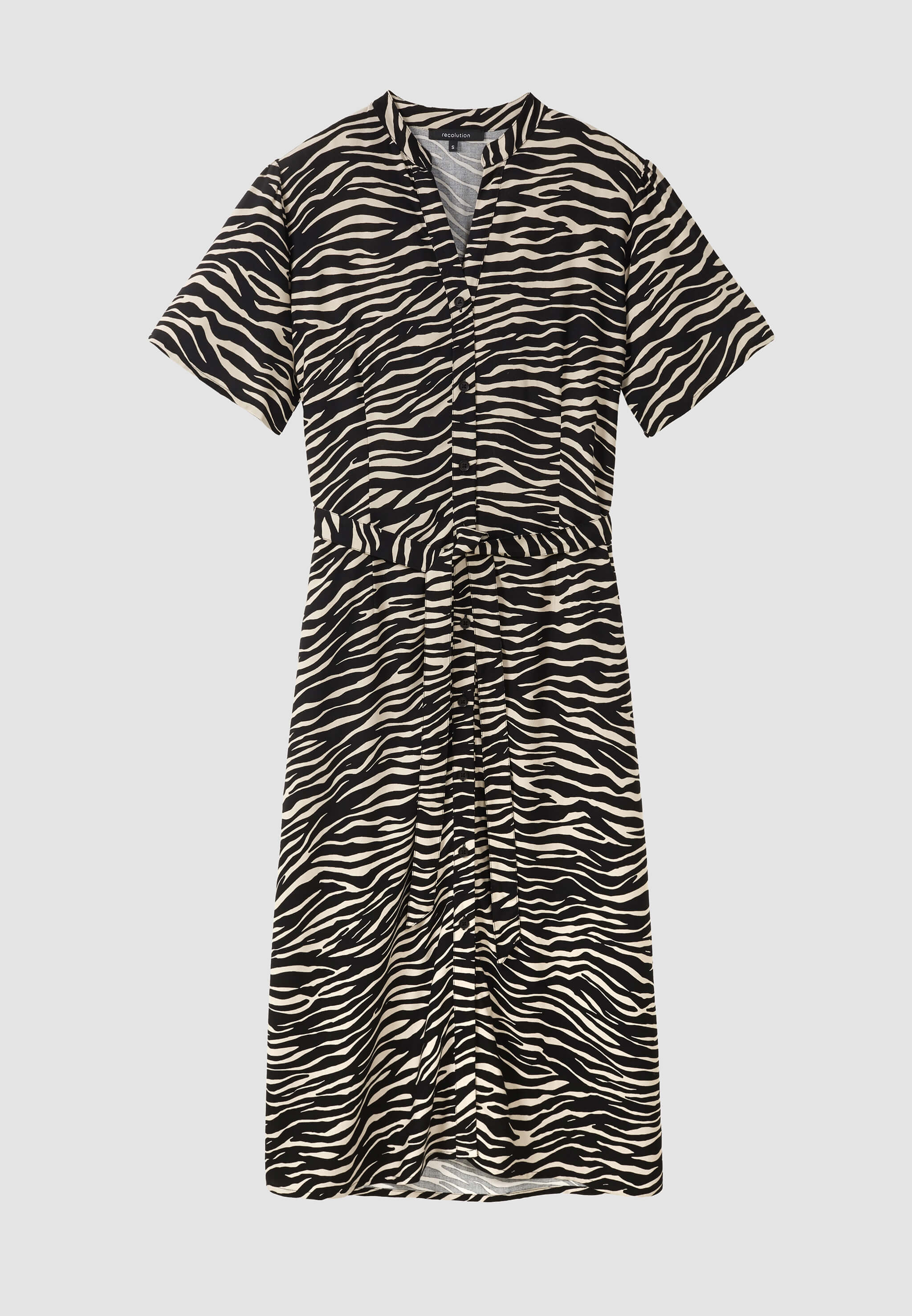 SILENE ZEBRA