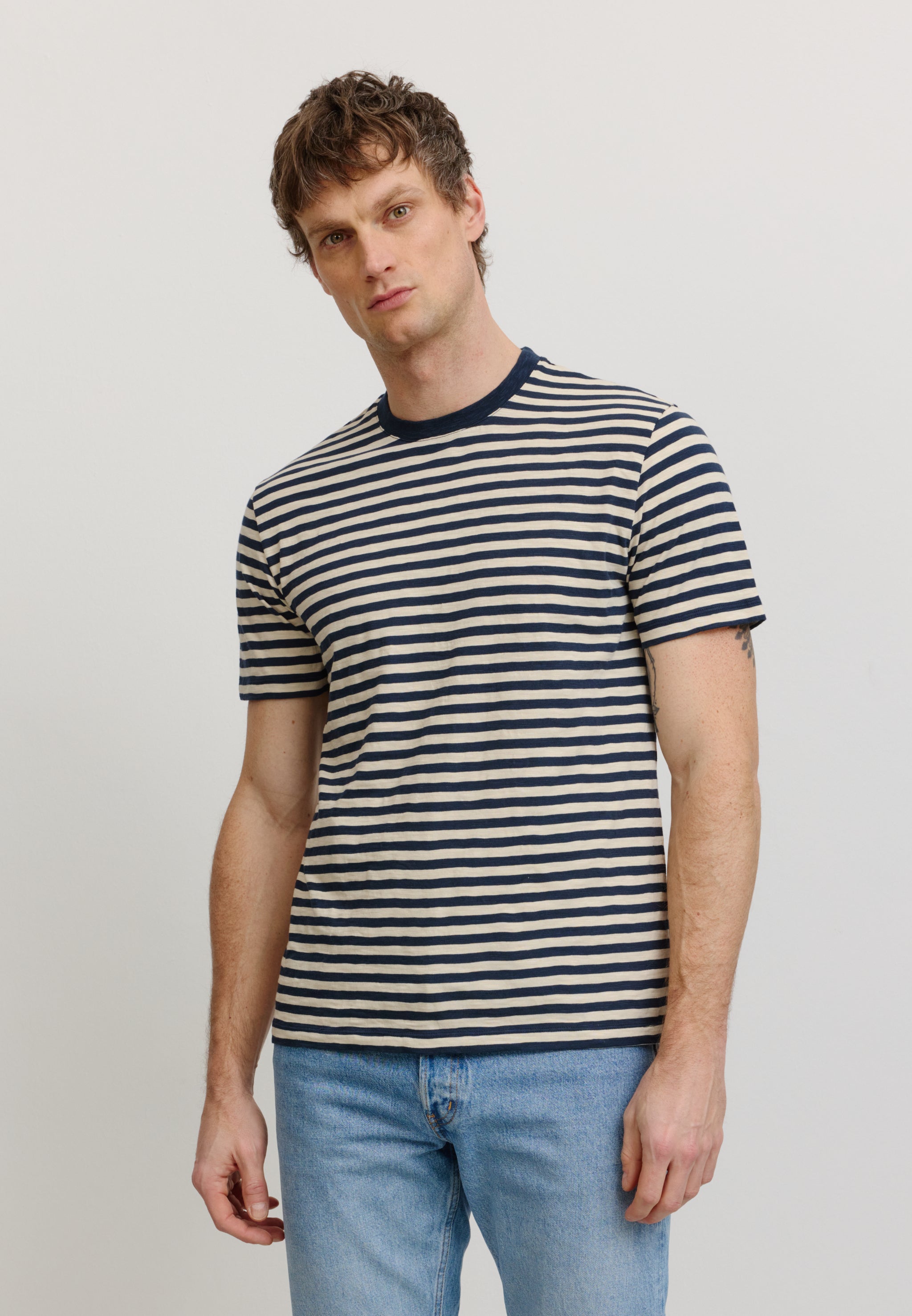 DELONIX STRIPES