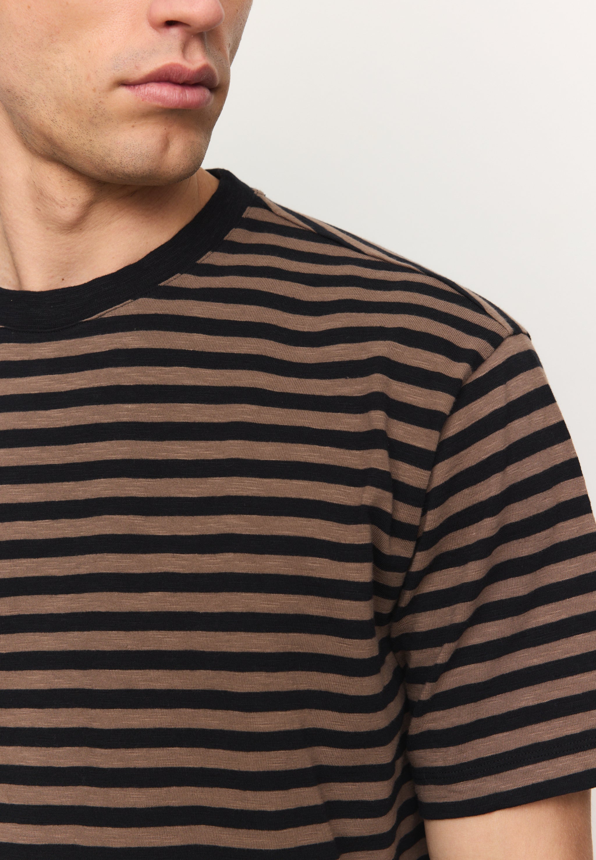 DELONIX STRIPES